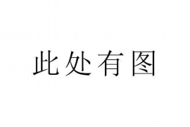 大丰为什么选择专业追讨公司来处理您的债务纠纷？