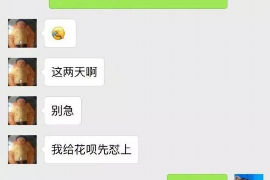 大丰遇到恶意拖欠？专业追讨公司帮您解决烦恼